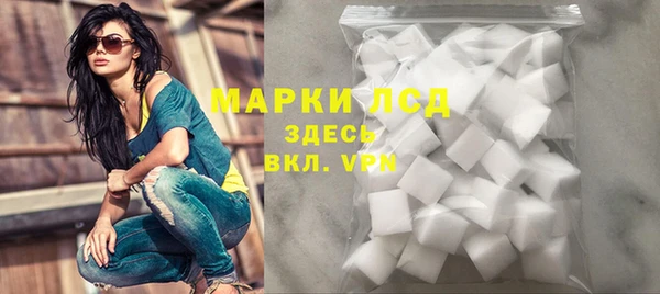 стаф Арсеньев