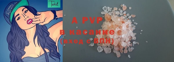 гидра Аркадак