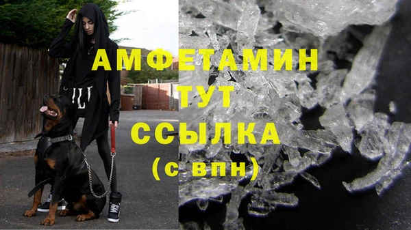 гидра Аркадак