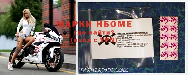 гидра Аркадак