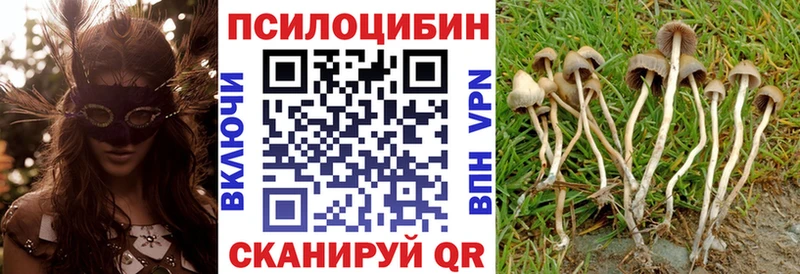Псилоцибиновые грибы Psilocybine cubensis  это клад  Одинцово  где найти  